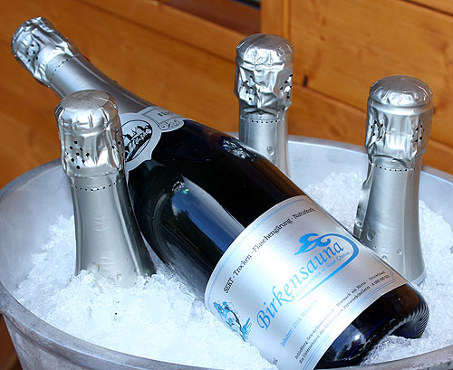 Birkensauna Erffnung Gastkabine